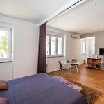 Studio Apartment Jader